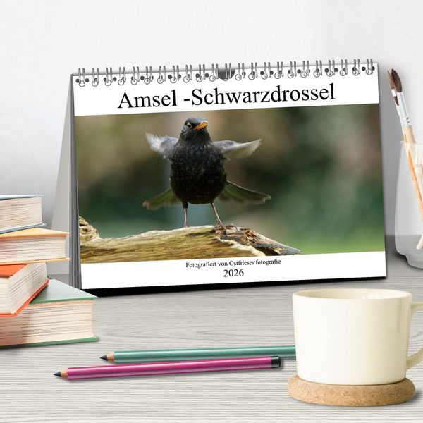 Produktbild: Amsel - Schwarzdrossel fotografiert von Ostfriesenfotografie (Tischkalender 2026 DIN A5 quer), CALVENDO Monatskalender