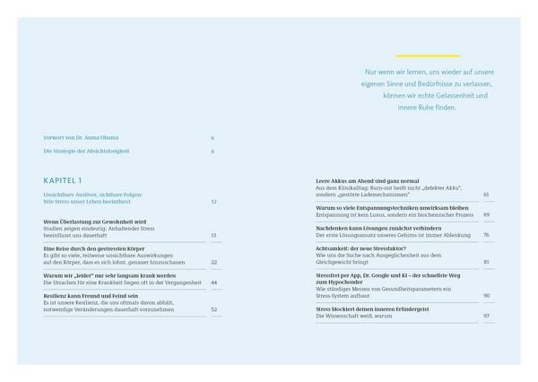 Produktbild: Die Strategie der Absichtslosigkeit