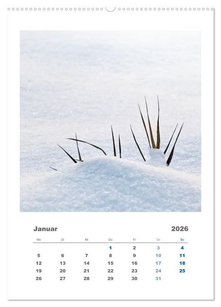 Produktbild: Minimalistisch, Gr&auml;ser, Bl&uuml;ten, Bl&auml;tter und Zweige im Fokus (Wandkalender 2026 DIN A2 hoch), CALVENDO Monatskalender