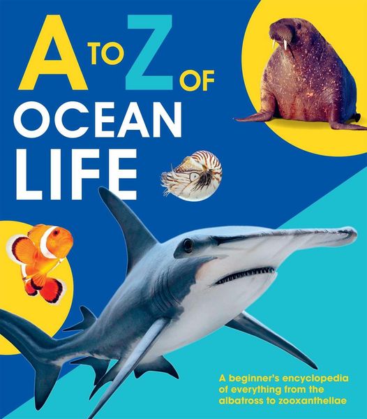 Produktbild: A to Z of Ocean Life