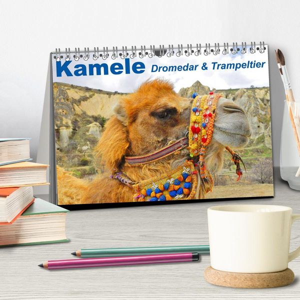 Produktbild: Kamele &bull; Dromedar & Trampeltier (Tischkalender 2026 DIN A5 quer), CALVENDO Monatskalender