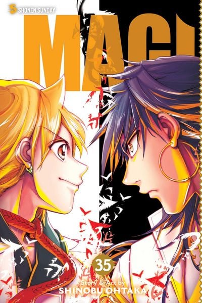 Produktbild: Magi: The Labyrinth of Magic, Vol. 35