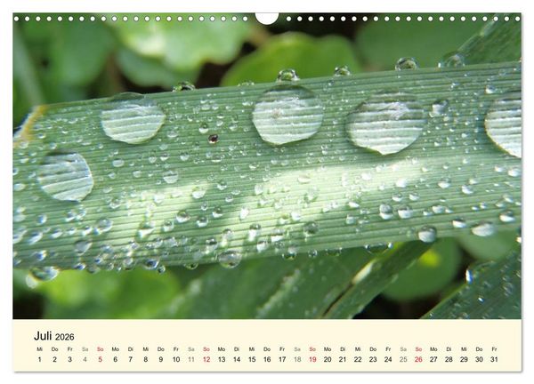 Produktbild: Kraftquelle Gr&uuml;n (Wandkalender 2026 DIN A3 quer), CALVENDO Monatskalender