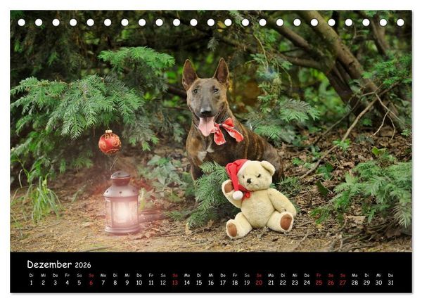 Produktbild: Bullterrier? Was sonst! (Tischkalender 2026 DIN A5 quer), CALVENDO Monatskalender