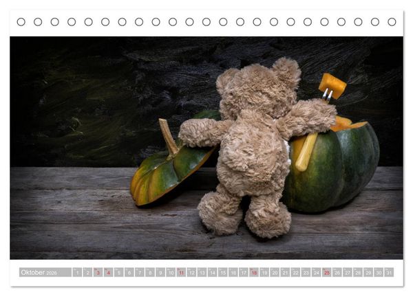 Produktbild: Eddy, der Teddy - 12 Bilder zum Schmunzeln (Tischkalender 2026 DIN A5 quer), CALVENDO Monatskalender