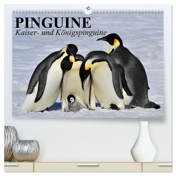 Produktbild: Pinguine - Kaiser- und K&ouml;nigspinguine (hochwertiger Premium Wandkalender 2026 DIN A2 quer), Kunstdruck in Hochglanz