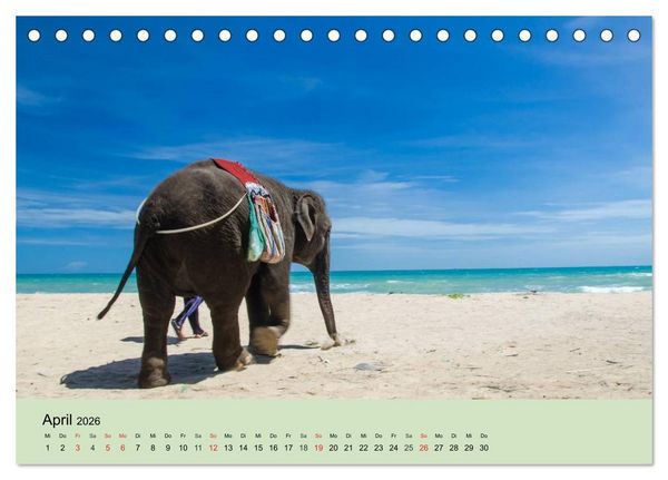 Produktbild: Elefanten. Badespa&szlig; am Strand (Tischkalender 2026 DIN A5 quer), CALVENDO Monatskalender
