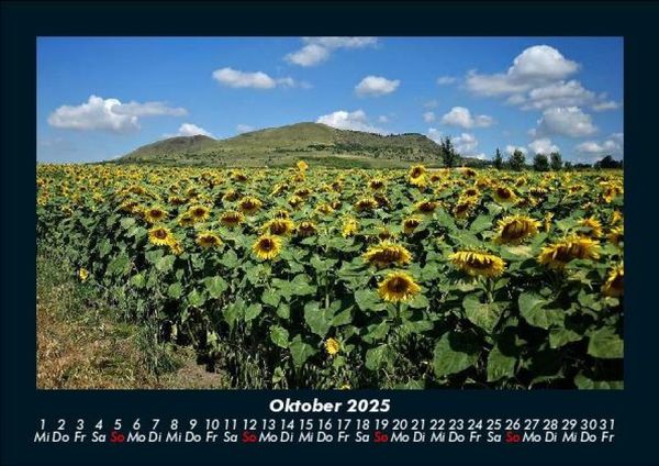 Produktbild: Blumentr&auml;ume 2025 Fotokalender DIN A5