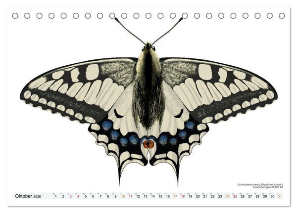 Produktbild: Schmetterlinge illustriert (Tischkalender 2026 DIN A5 quer), CALVENDO Monatskalender