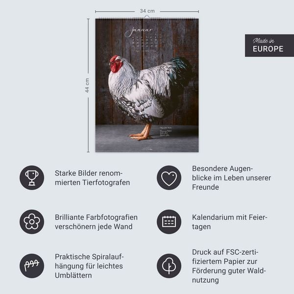 Produktbild: Pretty Chicks Kalender 2027