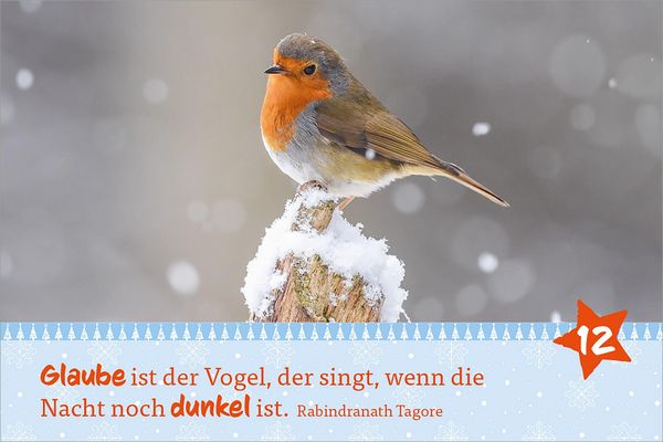 Produktbild: Hosentaschenadventskalender 2025 &ndash; mit Fotos