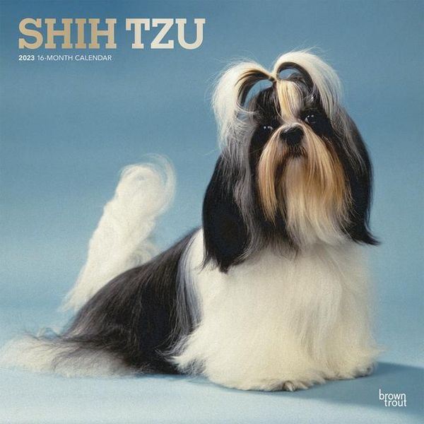 Produktbild: Shih Tzu 2023 Square Foil