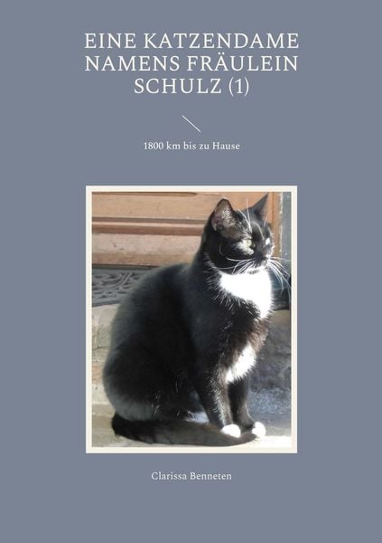 Produktbild: Eine Katzendame namens Fr&auml;ulein Schulz
