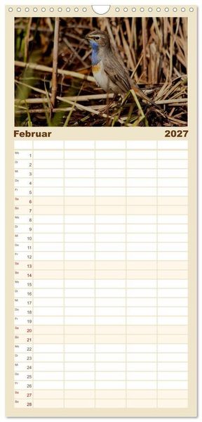 Produktbild: Familienplaner 2027 - V&ouml;gel ganz nah mit 5 Spalten (Wandkalender, 21 x 45 cm) CALVENDO
