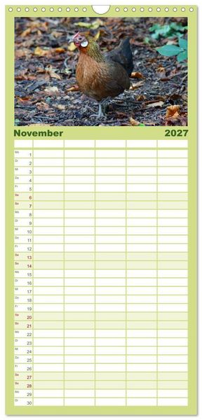 Produktbild: Familienplaner 2027 - Die Welt der H&uuml;hner mit 5 Spalten (Wandkalender, 21 x 45 cm) CALVENDO