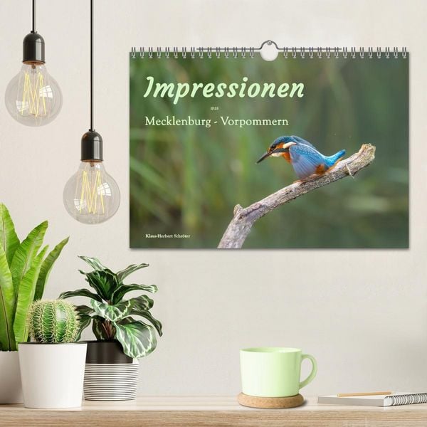 Produktbild: Impressionen aus Mecklenburg - Vorpommern (Wandkalender 2026 DIN A4 quer), CALVENDO Monatskalender