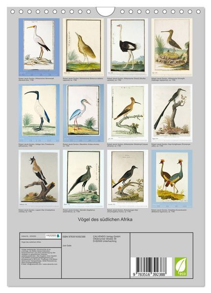 Produktbild: V&ouml;gel des s&uuml;dlichen Afrika (Wandkalender 2026 DIN A4 hoch), CALVENDO Monatskalender