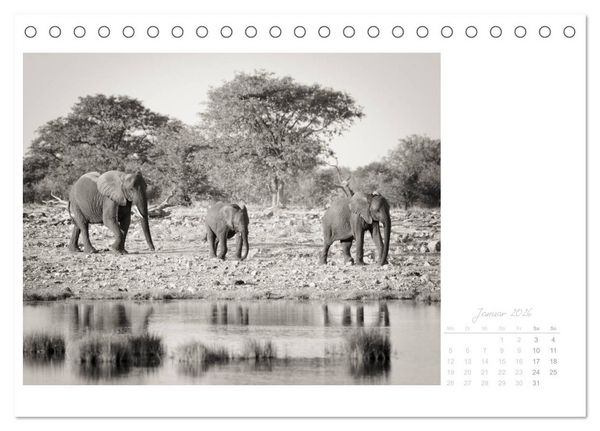 Produktbild: Elefanten in Etosha (Tischkalender 2026 DIN A5 quer), CALVENDO Monatskalender