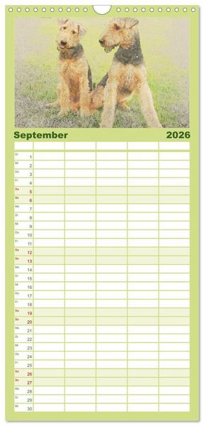 Produktbild: Familienplaner 2026 - Airedale Terrier 2026 mit 5 Spalten (Wandkalender, 21 x 45 cm) CALVENDO