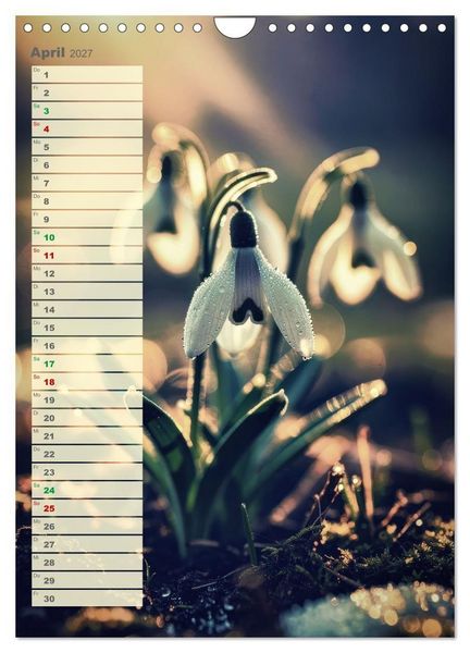 Produktbild: D&uuml;nen und Buhnen (Wandkalender 2027 DIN A4 hoch), CALVENDO Monatskalender