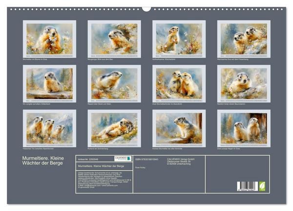 Produktbild: Murmeltiere. Kleine W&auml;chter der Berge (Wandkalender 2027 DIN A2 quer), CALVENDO Monatskalender