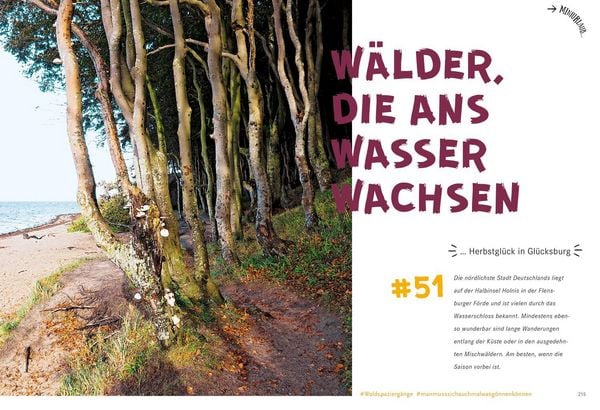 Produktbild: 52 kleine & gro&szlig;e Eskapaden in Schleswig-Holstein an der Ostsee