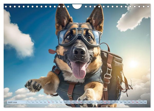 Produktbild: Hunde Skydiving (Wandkalender 2026 DIN A4 quer), CALVENDO Monatskalender