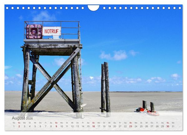 Produktbild: Salzwiesen, Schafe und Watt - Westerhever, ein Naturparadies an der Nordsee (Wandkalender 2026 DIN A4 quer), CALVENDO Monatskalender
