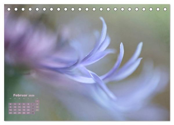 Produktbild: Zauberhafte Bl&uuml;ten (Tischkalender 2026 DIN A5 quer), CALVENDO Monatskalender