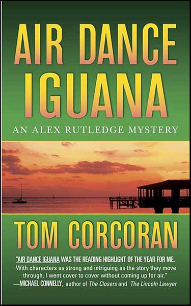 Produktbild: Air Dance Iguana
