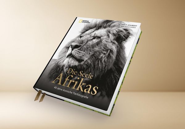 Produktbild: Die Seele Afrikas
