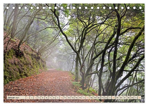 Produktbild: Magic Moments - LA PALMA (Tischkalender 2027 DIN A5 quer), CALVENDO Monatskalender