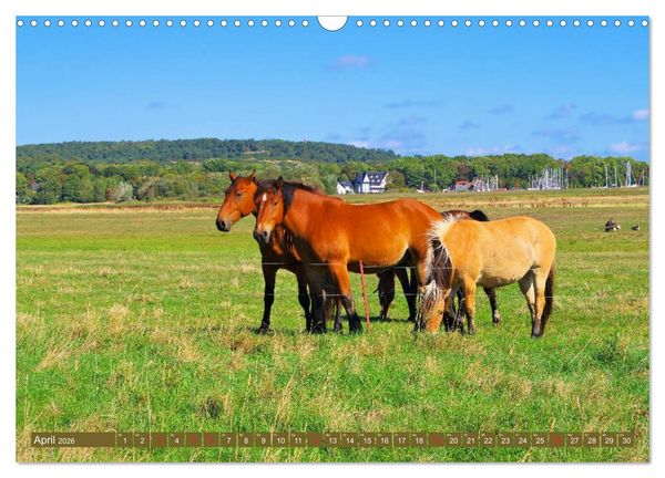 Produktbild: Insel Hiddensee - Dat s&ouml;te L&auml;nneken (Wandkalender 2026 DIN A3 quer), CALVENDO Monatskalender