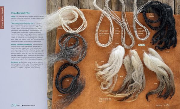 Produktbild: The Fleece & Fiber Sourcebook