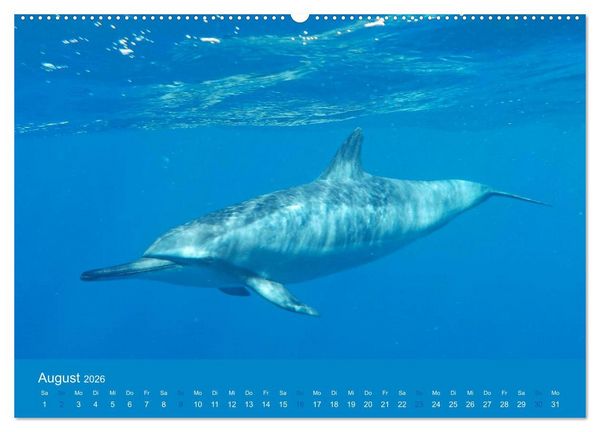 Produktbild: Hawaii Paradies auf Erden (hochwertiger Premium Wandkalender 2026 DIN A2 quer), Kunstdruck in Hochglanz
