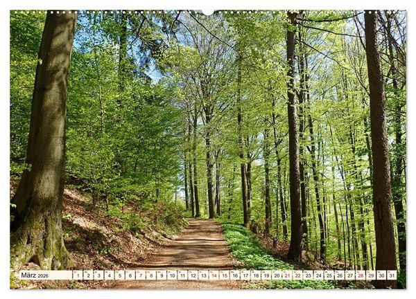 Produktbild: Vom Ried an die Bergstra&szlig;e, durch den Odenwald ins Neckartal (hochwertiger Premium Wandkalender 2026 DIN A2 quer), Kunstdruck in Hochglanz