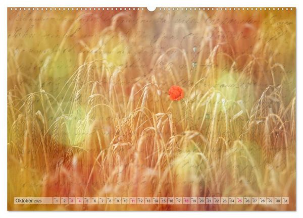 Produktbild: Vintage Nature - Romantische Naturaufnahmen (Wandkalender 2026 DIN A2 quer), CALVENDO Monatskalender
