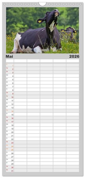 Produktbild: Familienplaner 2026 - Kuh und Co. mit 5 Spalten (Wandkalender, 21 x 45 cm) CALVENDO
