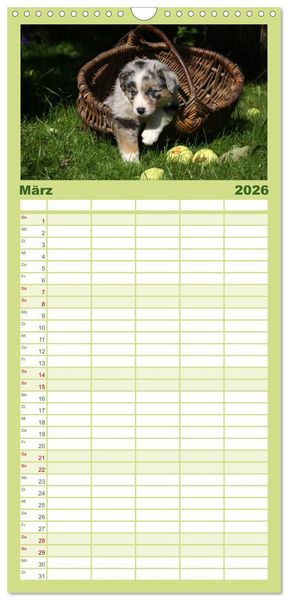 Produktbild: Familienplaner 2026 - Der Hundewelpen-Geburtstagskalender mit 5 Spalten (Wandkalender, 21 x 45 cm) CALVENDO