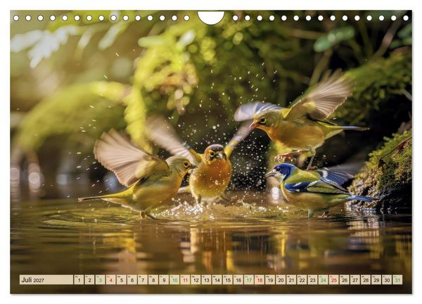 Produktbild: Farbenfrohe Singv&ouml;gel beim Baden (Wandkalender 2027 DIN A4 quer), CALVENDO Monatskalender