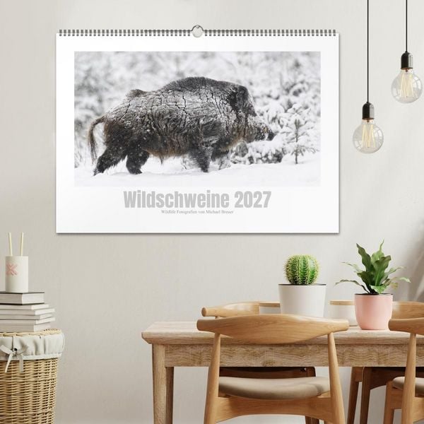 Produktbild: Wildschweine &ndash; Wildlife Fotografien (Wandkalender 2027 DIN A2 quer), CALVENDO Monatskalender