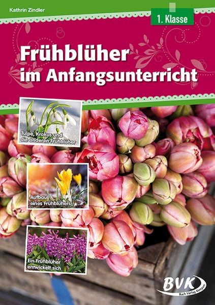 Produktbild: Fr&uuml;hbl&uuml;her im Anfangsunterricht