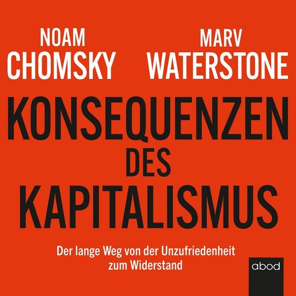 Produktbild: Konsequenzen des Kapitalismus