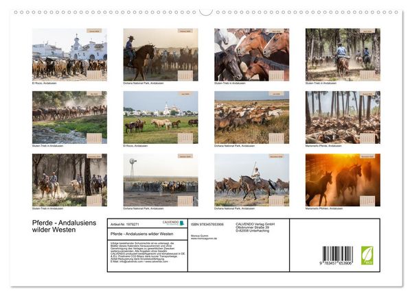 Produktbild: Pferde - Andalusiens wilder Westen (hochwertiger Premium Wandkalender 2026 DIN A2 quer), Kunstdruck in Hochglanz