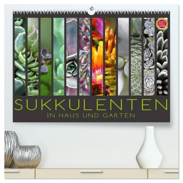 Produktbild: Sukkulenten in Haus und Garten (hochwertiger Premium Wandkalender 2026 DIN A2 quer), Kunstdruck in Hochglanz