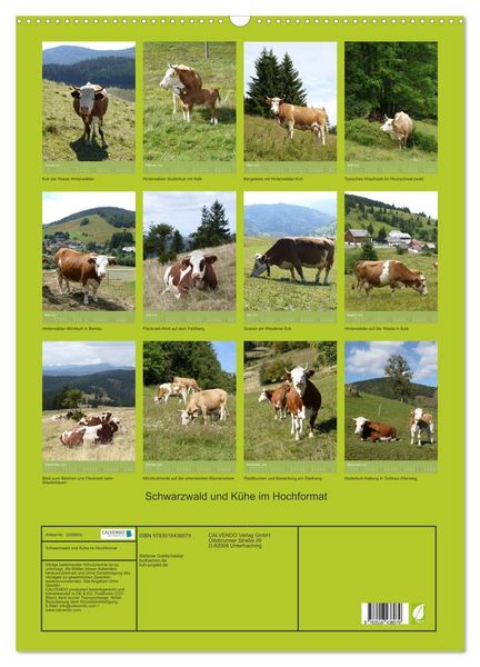 Produktbild: Schwarzwald und K&uuml;he im Hochformat (Wandkalender 2026 DIN A2 hoch), CALVENDO Monatskalender
