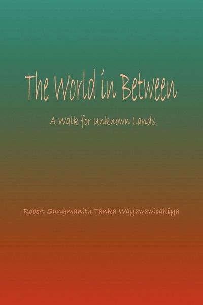 Produktbild: World in Between