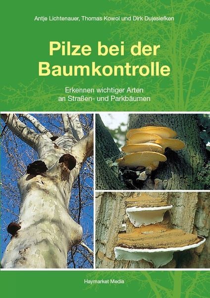 Produktbild: Pilze bei der Baumkontrolle