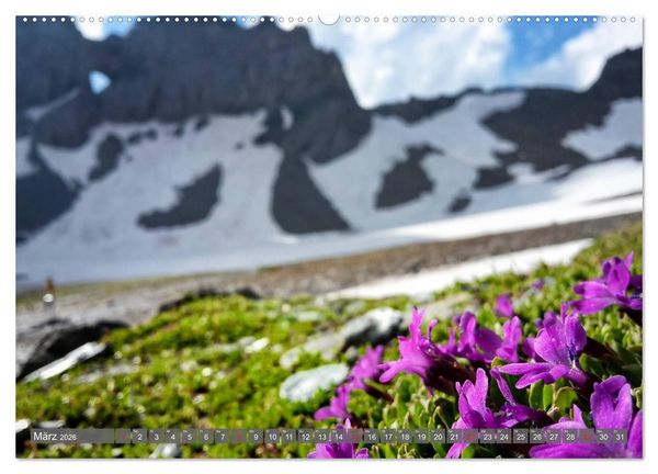 Produktbild: Flora der Alpen (hochwertiger Premium Wandkalender 2026 DIN A2 quer), Kunstdruck in Hochglanz
