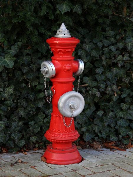 Produktbild: CALVENDO Puzzle Roter Hydrant | 1000 Teile Lege-Gr&ouml;&szlig;e 64x48cm Foto-Puzzle f&uuml;r gl&uuml;ckliche Stunden